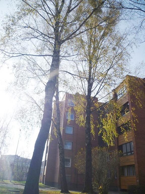 Saulys1 Apartment Druskininkai Bilik gambar